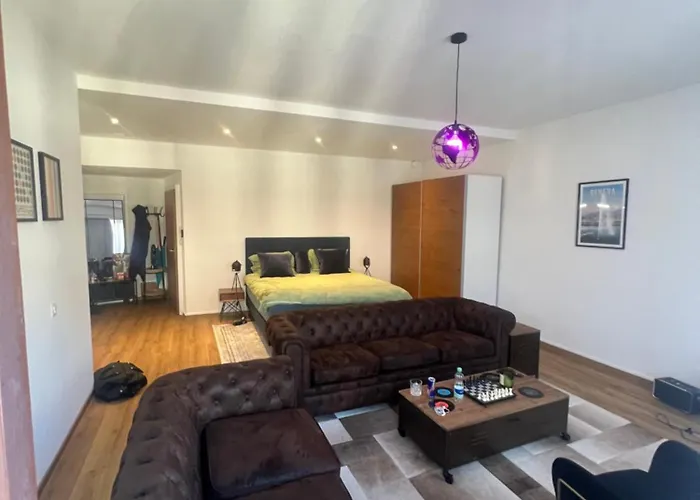 Magnificent Apartment, Geneva Center, Geneva Lake