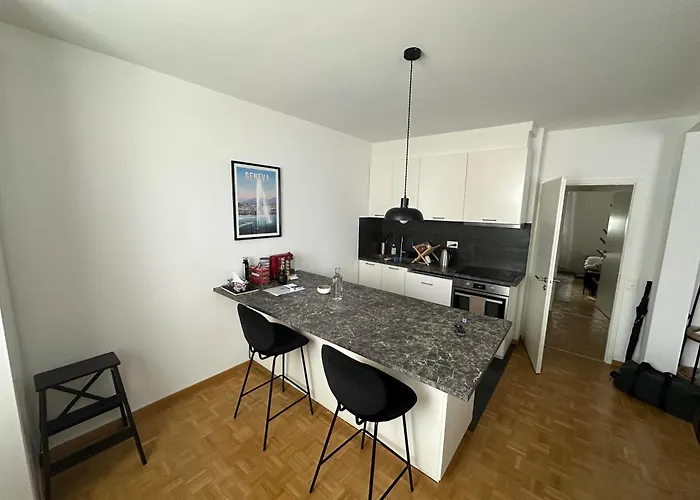 Magnificent Apartment, Geneva Center, Geneva Lake